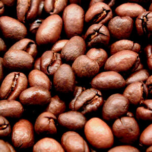 culi 2 e1740365435783