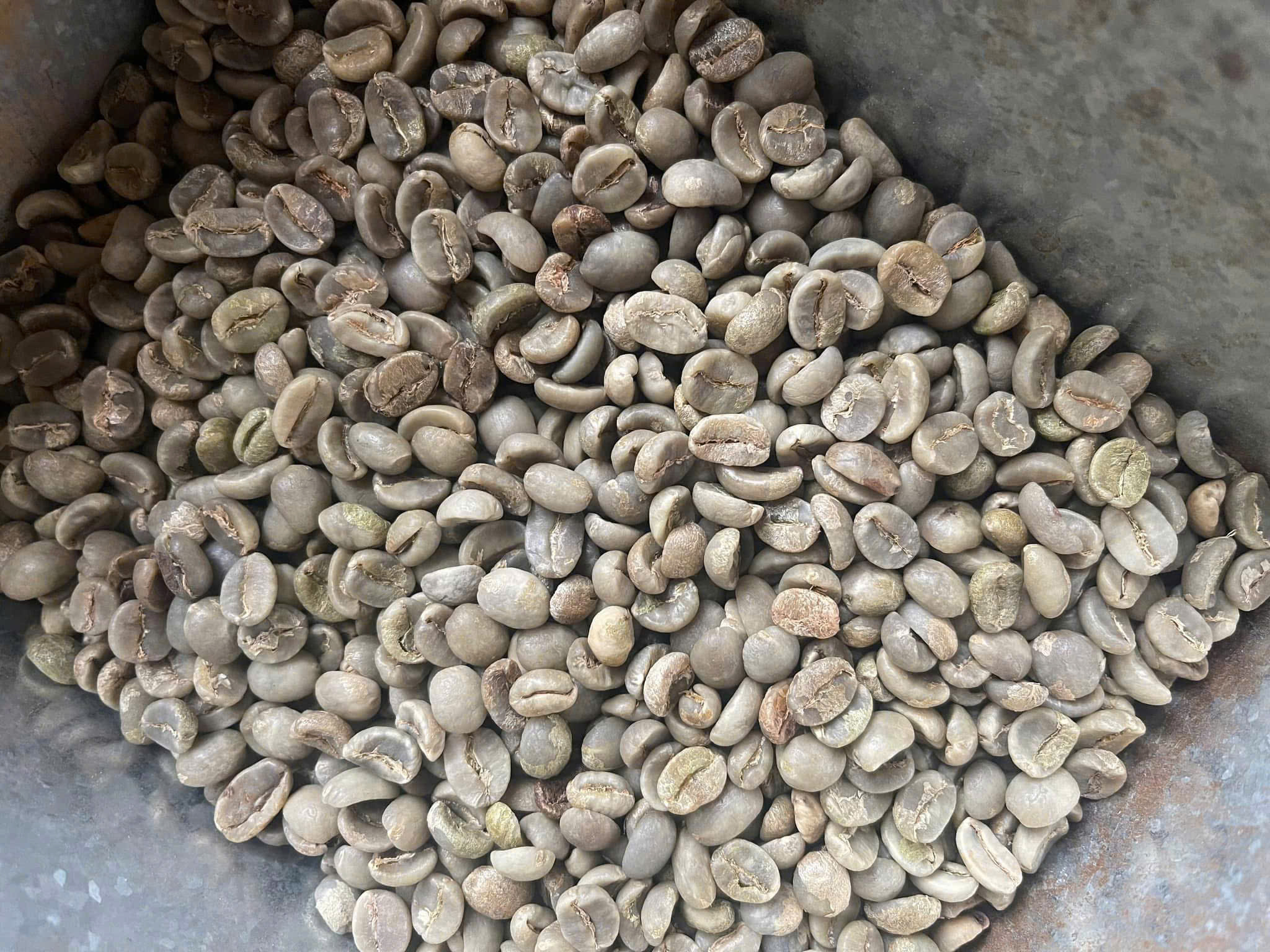 z6337973917926 21de034c588483b219c5e2544a03b8a4